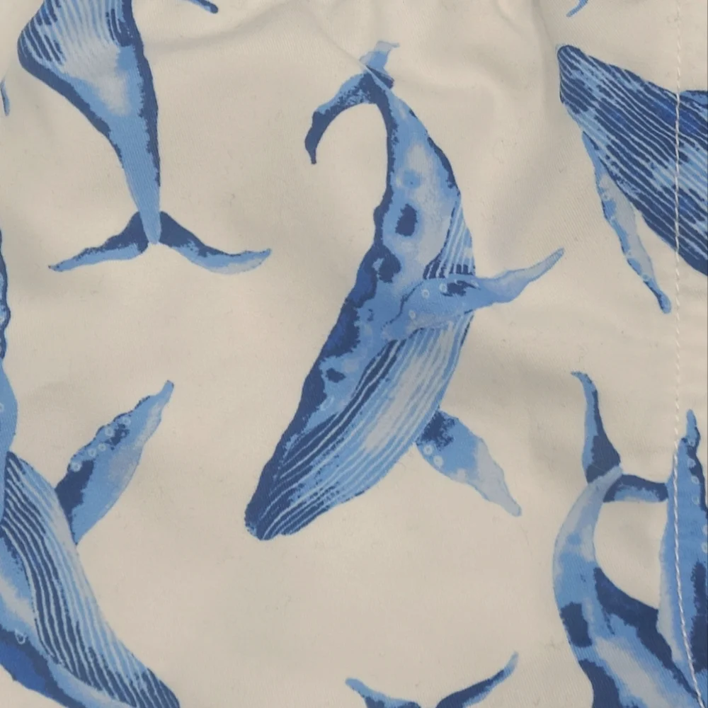 Janie and Jack baby boy whale print swim trunks size 6-12 months
